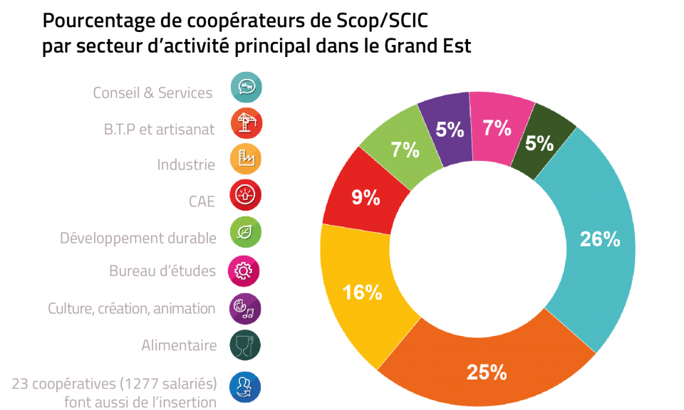 Répartition des coopérateurs par secteurs d'activités